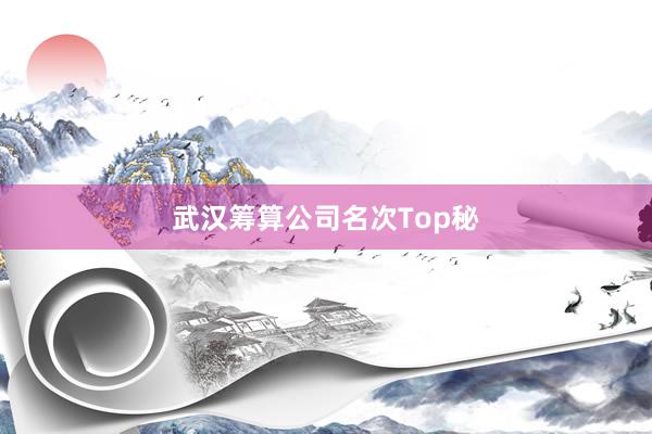 武汉筹算公司名次Top秘
