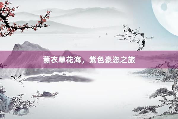 薰衣草花海，紫色豪恣之旅