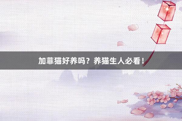 加菲猫好养吗？养猫生人必看！